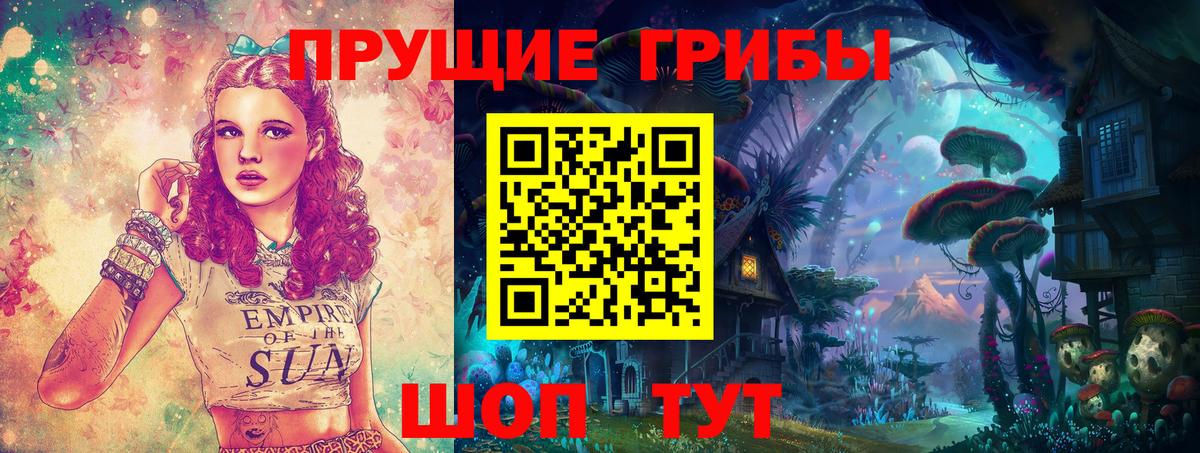 Волжский  Галлюциногенные грибы Magic Shrooms  Вход с VPN  Псилоцибиновые грибы прущие грибы 