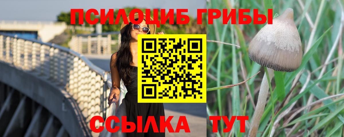 Галлюциногенные грибы мухоморы Волжский